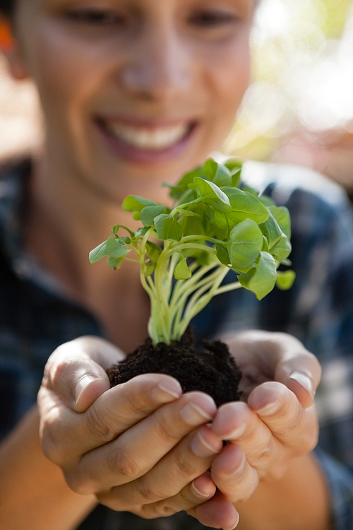 Close-up of smiling young woman holding seedling on sunny day
