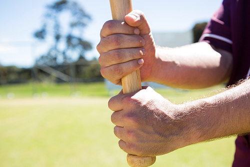 Cropped image of player holding baseball bat at playing field