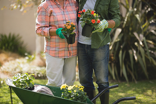 Mid section of senior couple holding potted plants while standing by wheel borrow in yard