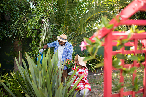 Couple watering plants while gardening in yard