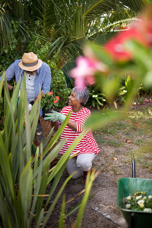 Woman holding flowers during plantation in yard