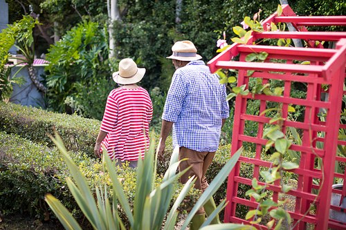 Rear view of senior couple wearing hats while walking in yard