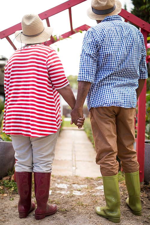 Full length of senior couple holding hands while standing in yard