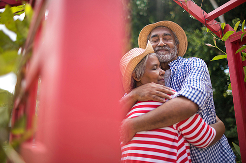 Low angle view of affectionate senior couple embracing while standing by metallic structure in yard