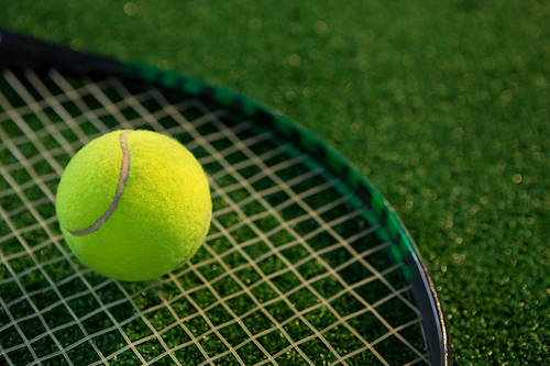 Close up of tennis ball on racket at field