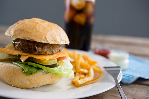 Close up of hamburger and french fries served in plate with drink in background