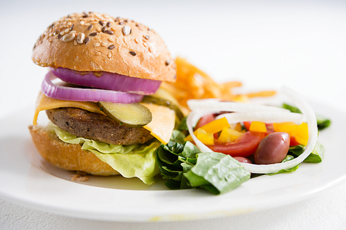 Close up of burger with salad in plate on table