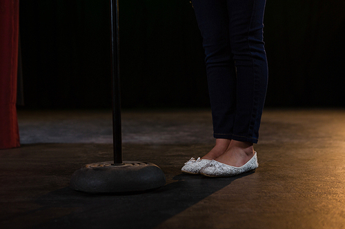 Low section of ballerina standing on the stage