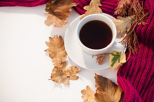 cup of 홍차 with autumn leaves and woolen cloth on white background