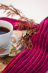 cup of 홍차 with autumn leaves and woolen cloth on white background