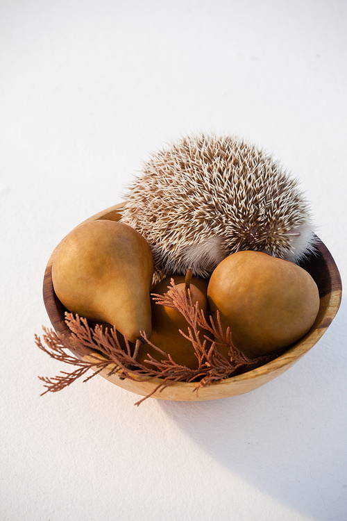 Pears fruit and porcupine in bowl against white background