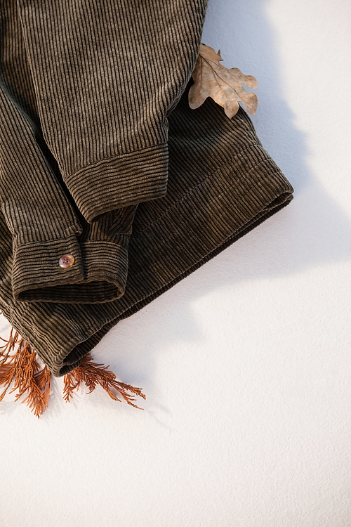 Overhead of sweater with autumn leaves on white background