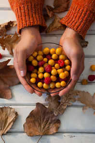 Close-up of woman hand holding bowl of autumn berries