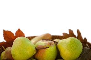 Close-up of pears against white background