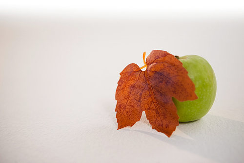 Close-up of green apple and autumn leaves against white background