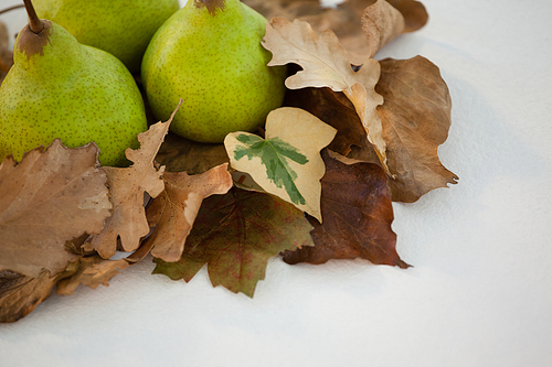 Close-up of pears with autumn leaves on white background