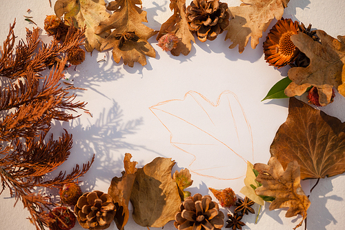 Overhead of autumn leaves arranged on white background