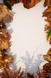 Overhead of autumn leaves arranged on white background