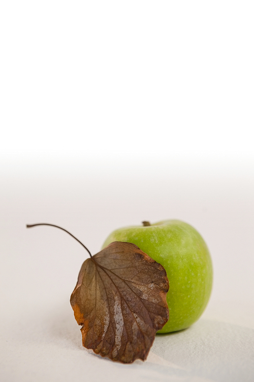 Close-up of green apple and autumn leaves against white background