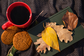 Overhead of black coffee, cookies, diary and autumn leaves on woolen blanket
