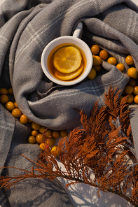 Overhead of autumn berry, lemon tea and leaves on blanket