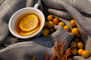 Close-up of autumn berry, lemon tea and leaves on blanket