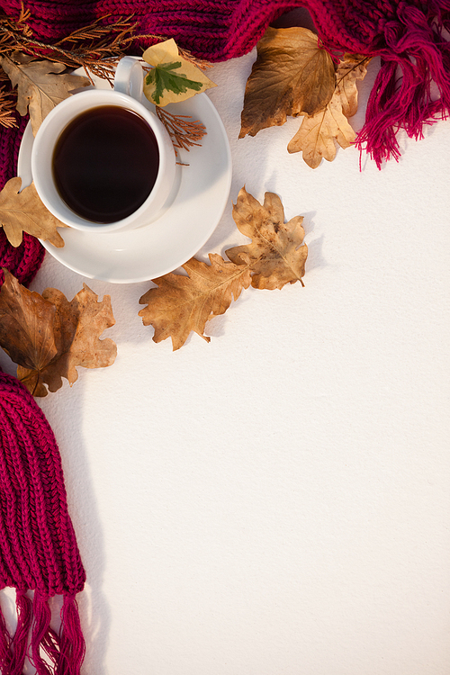 overhead of 홍차 with autumn leaves and woolen cloth on white background