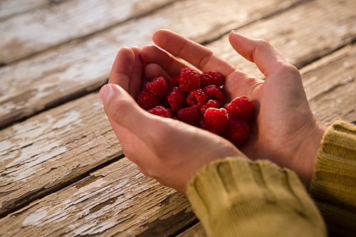 Cropped hand of woman holding raspberries at table