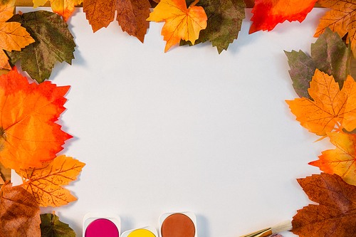 Overhead view of autumn leaves on paper