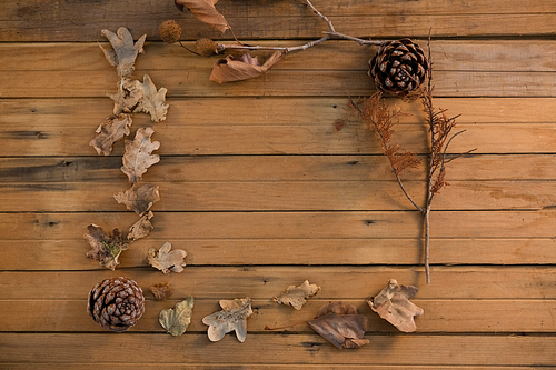 Overhead view of pine cone and dried leaves arranged on wooden table