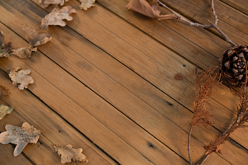 High angle view of pine cone and dried leaves arranged on wooden table