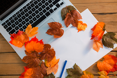 Overhead view of autumn leaves with paper by laptop on wooden table