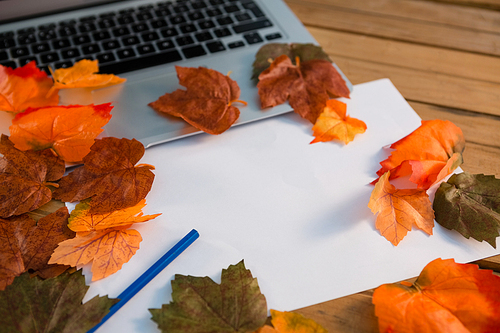 Close up of autumn leaves with paper by laptop on wooden table