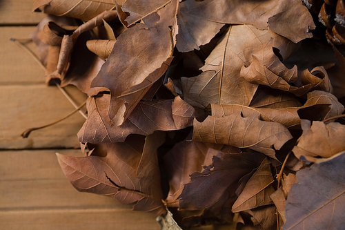 Close up of dried leaves on wooden table