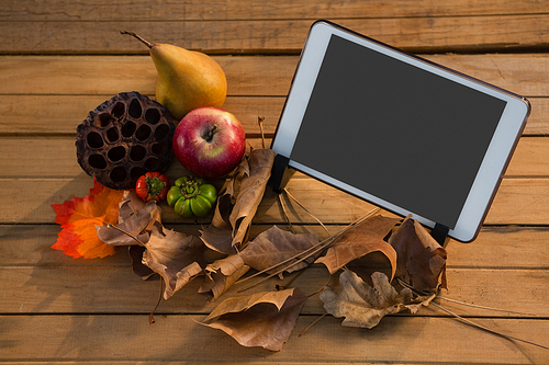 Plant pod with fruits by tablet computer on wooden table