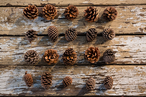 Directly abvoe shot of various pine cones arranged on wooden tables