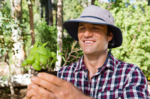 Happy man holding sapling in garden on a sunny day