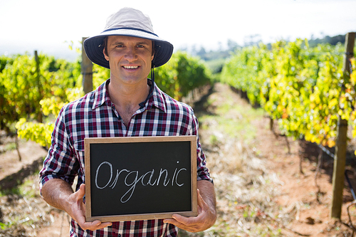 Portrait of happy man holding slate with text in vineyard on a sunny day