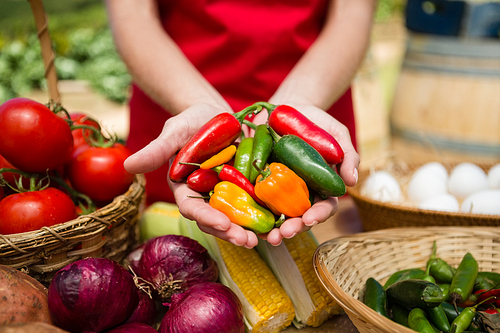 Mid section of woman holding fresh chili peppers at vegetable stall in vineyard