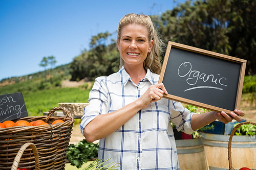 Portrait of happy woman holding slate with text in vineyard on a sunny day