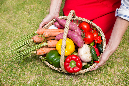 Mid section of woman holding a basket of fresh vegetables