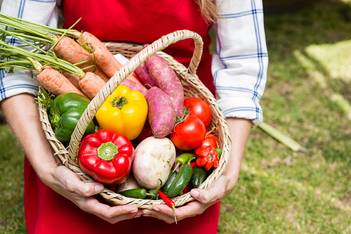 Mid section of woman holding a basket of fresh vegetables