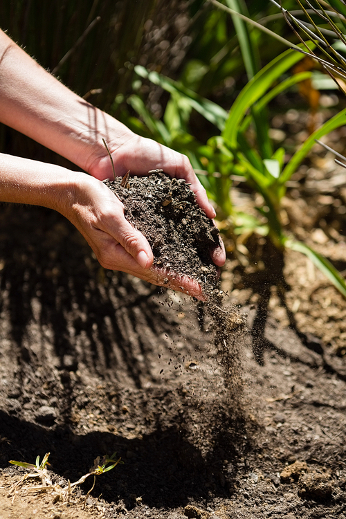 Woman pouring soil in garden on a sunny day