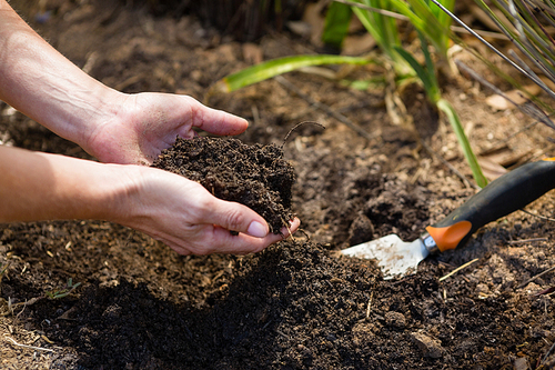 Woman pouring soil in garden on a sunny day