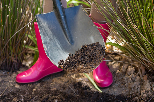 Low section of woman digging soil with shovel in garden on a sunny day