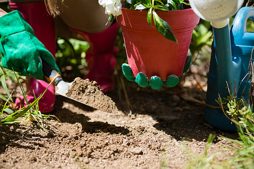 Close-up of woman planting sapling in garden on a sunny day