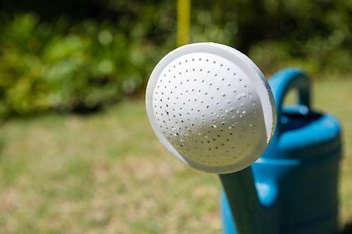 Close-up of watering can in garden on a sunny day