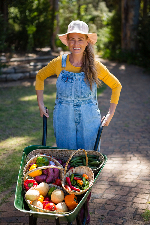 Portrait of happy woman holding fresh vegetables in wheelbarrow