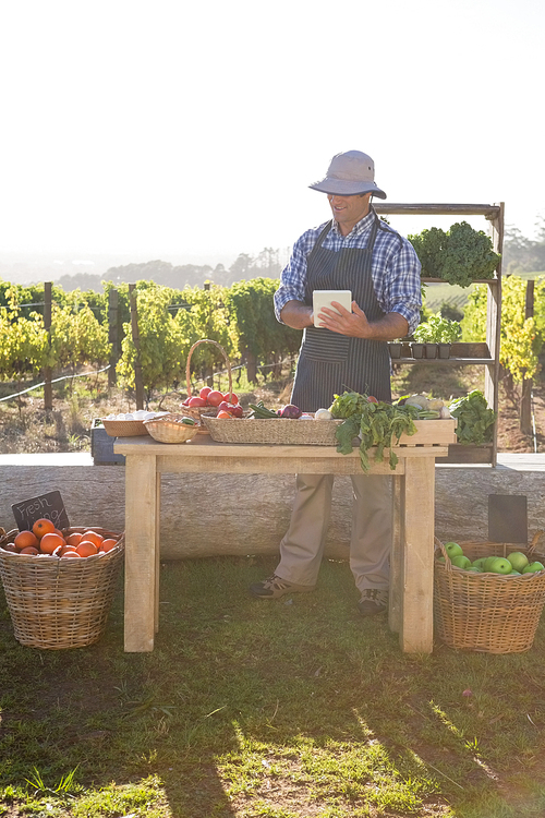 Man using digital tablet at vegetable stall in vineyard