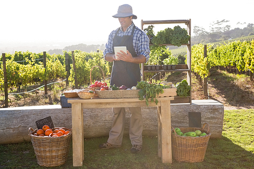 Man using digital tablet at vegetable stall in vineyard